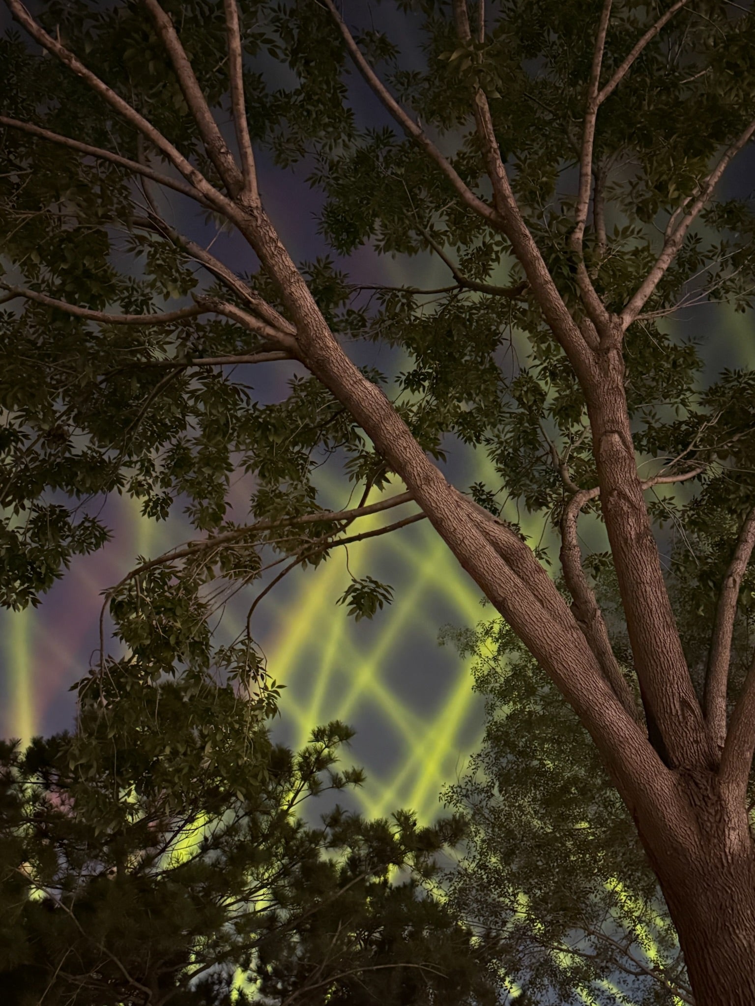 <span class='visually-hidden'>Load video: </span>1