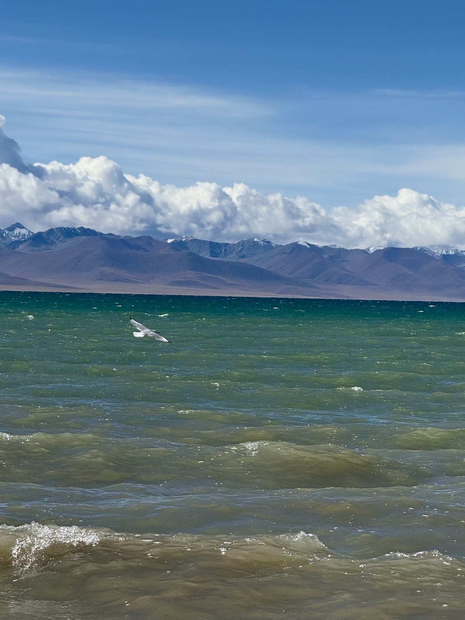 &lt;span class=&#39;visually-hidden&#39;&gt;Load video: &lt;/span&gt;6